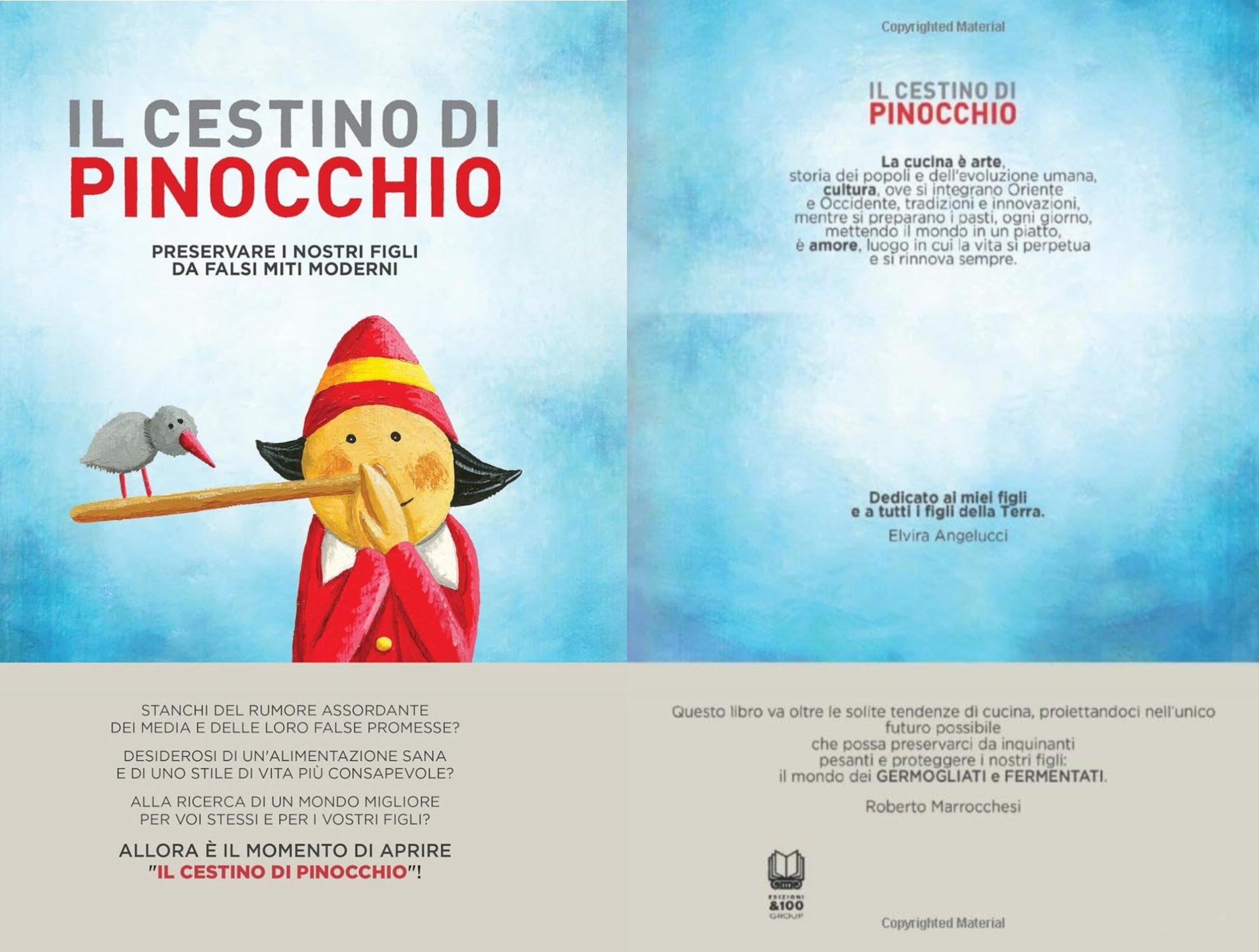 LIBRO-Il Cestino di Pinocchio di Elvira Angelucci